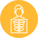 X-Ray Icon